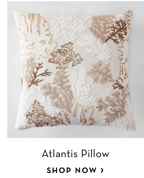  Atlantis Pillow SHOP NOW 