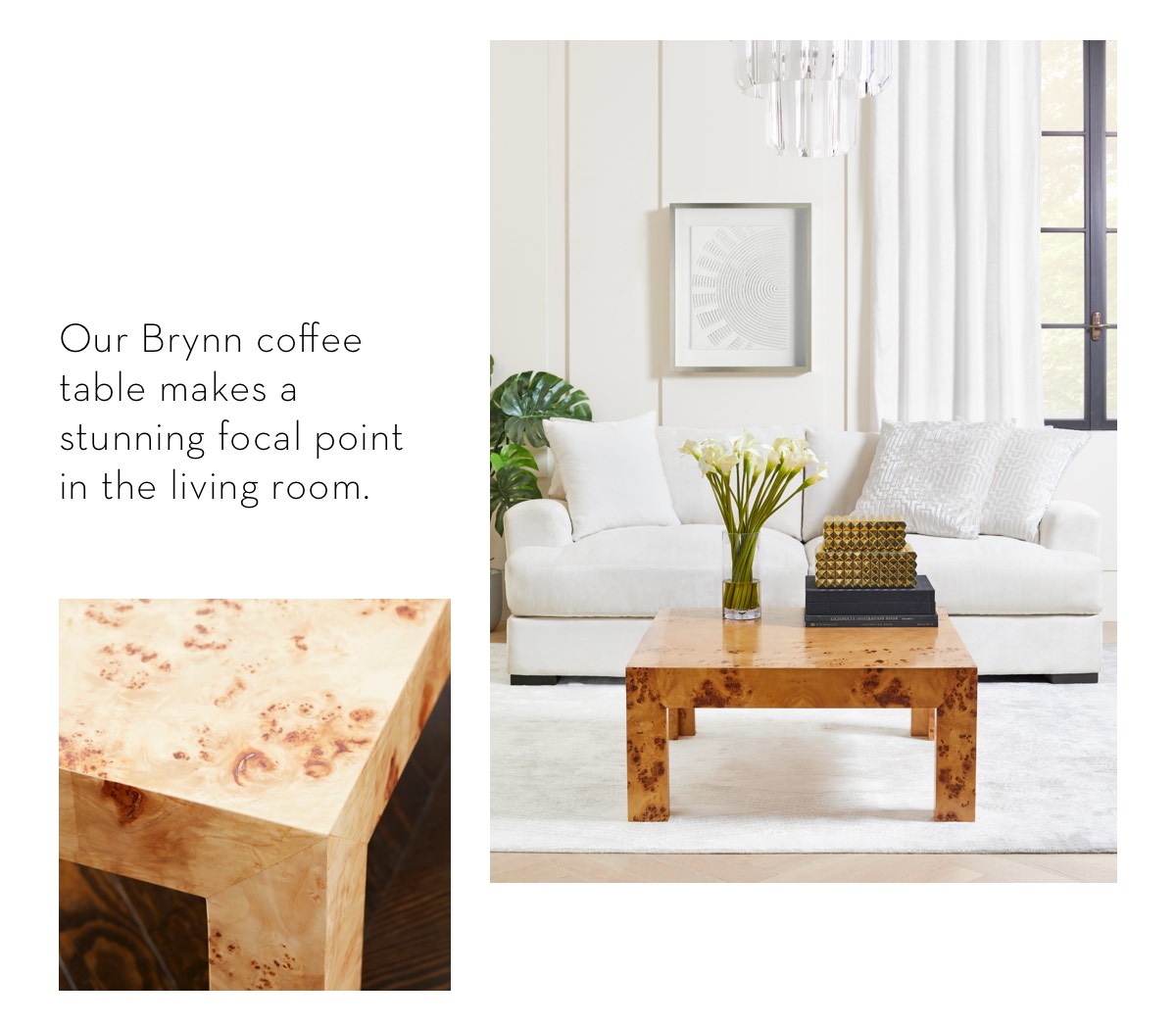 Spotlight Introducing the Irresistible Brynn Collection Z Gallerie