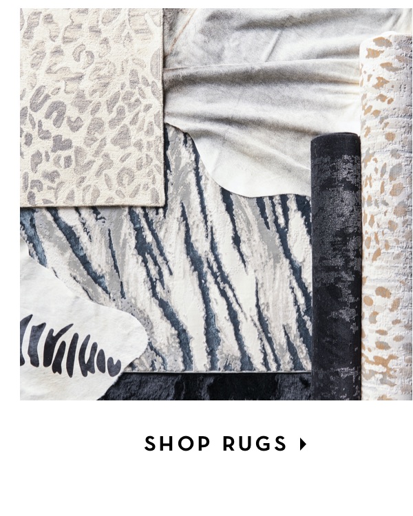 shop rugs